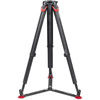Sachtler flowtech 100 mm Carbon Fiber Tripod With Quick Release Brakes, Ground Spreader And