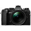 Olympus OM-D E-M5 Mark III Mirrorless Kit Black w/ M.Zuiko ED 12-45mm f/4.0 PRO Lens