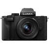 Panasonic Lumix G100 Kit w/ Lumix G Vario 12-32mm f/3.5-5.6 ASPH Mega OIS Lens