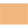 Rosco 20"x24" #3408 Roscosun 1/2 CTO Filter - Sheet