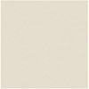 Rosco 20"x24" #3410 Roscosun 1/8 CTO Filter - Sheet