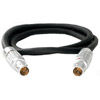 Tilta Nucleus-M 7-Pin Motor-to-Motor Connection Cable (21.65")