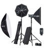 Elinchrom D-Lite RX 4/4 Softbox To Go Set with Bonus Rotalux 175 Octabox 175 cm (69") *Promo*