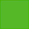 Rosco Chroma Key Green Paint - QT #5711
