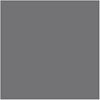 Rosco 21"x24" E-Colour #210 .6 Neutral Density - Sheet