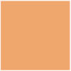Rosco 21"x24" E-Colour #204 Full CT Orange - Sheet