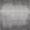 Westcott X-Drop Pro Fabric Backdrop Vintage Gray (8' x 8') by Glyn Dewis