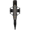 Sennheiser RF microphone (2x cardioid, condenser) with dual outputs available from capsule for adjustment of p