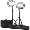 Lyra Half x 1 Bi-Color (3200K-5600K) 2-Point Soft Panel LED Light Kit w/Gold & V-Mount Battery Plate