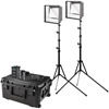 Westcott Flex Cine Bi-Colour LED 2-Light Travel Kit (1' x1'