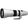 300-600mm f/4.0 DG OS Sports Lens for E Mount