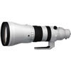 300-600mm f/4.0 DG OS Sports Lens for L Mount