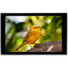 HD7T 4K HDMI 7'' 1000 NIT Touch Screen Monitor 3D LUT, 30P HDMI Input, AV IN Port (Black)