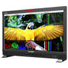 Q24 23.6" 12G-SDI/HDMI Broadcast Studio Monitor (Gold Mount)