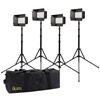 Mylo Mini Bi-Color 4-Point LED Light Kit