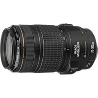 EF 70-300mm f/4-5.6 IS USM Telephoto Zoom Lens