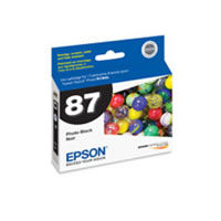 T087120 Photo Black HG2 Ink Cartridge for R1900