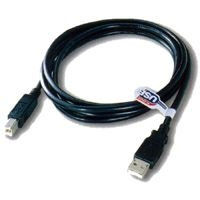 10' USB 3.0 Cable - A to B  