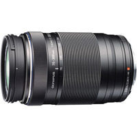 Panasonic Lumix G Vario 100-300mm f/4.0-5.6 II ASPH Power OIS Lens