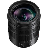 Panasonic Lumix G Vario 14-140mm f/3.5-5.6 ASPH Power OIS Lens