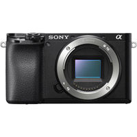 Alpha A6100 Mirrorless Body