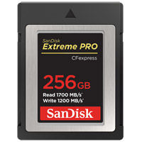Extreme Pro 256GB CFexpress Type B Card, 1700MB/s read & 1200MB/s write speeds