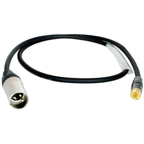 10' XLR M - RCA Audio Cable