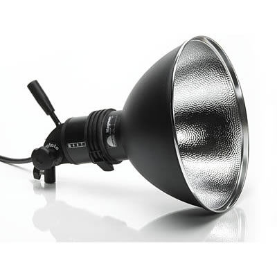 ProTwin Flash Head  UV 500W with Zoom Reflector