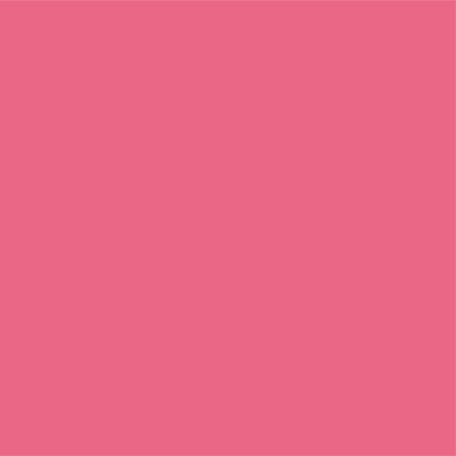 20"x24" Seedy Pink Lighting Filter