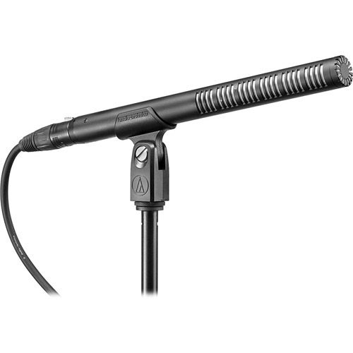BP4073 Line + Gradient Condenser Microphone