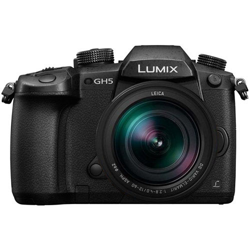 Panasonic Lumix DC-GH5 Mirrorless Body