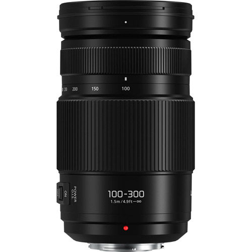 Lumix G Vario 100-300mm f/4.0-5.6 II ASPH Power OIS Lens