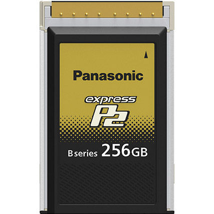 256GB B Series expressP2 Memory Card for for VariCam Series