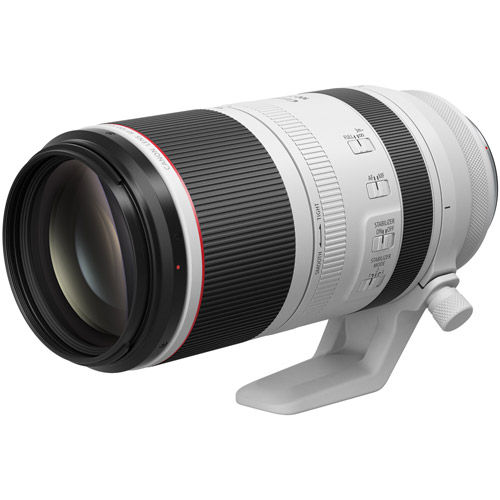 RF 100-500mm f/4.5-7.1 Lens