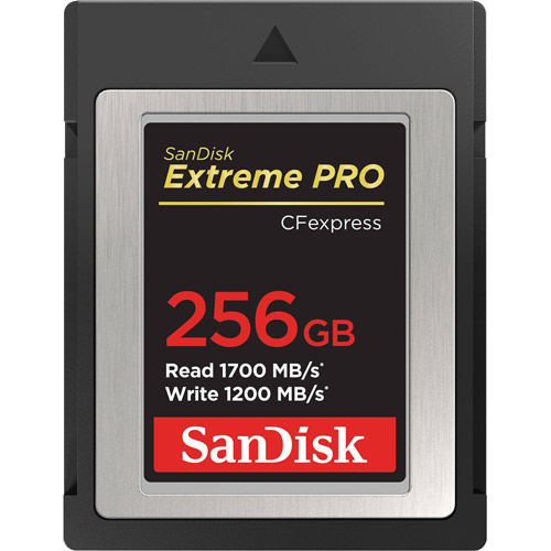 Extreme Pro 256GB CFexpress Type B Card (NN), 1700MB/s read & 1200MB/s write speeds