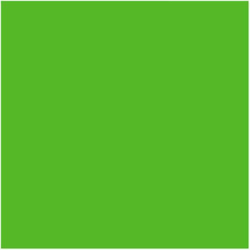 Chroma Key Green Paint - QT #5711