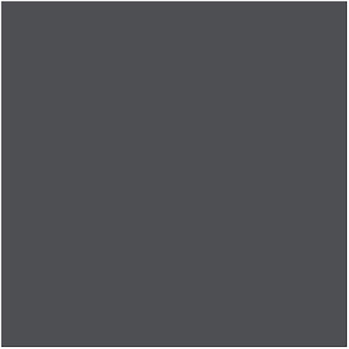 21"x24" E-Colour #211 .9 Neutral Density - Sheet