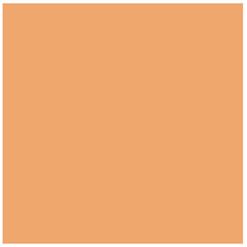 21"x24" E-Colour #204 Full CT Orange - Sheet