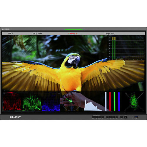 Q31-ABBP 31.5" 12G-SDI/HDMI Broadcast Studio Monitor (Gold Mount)