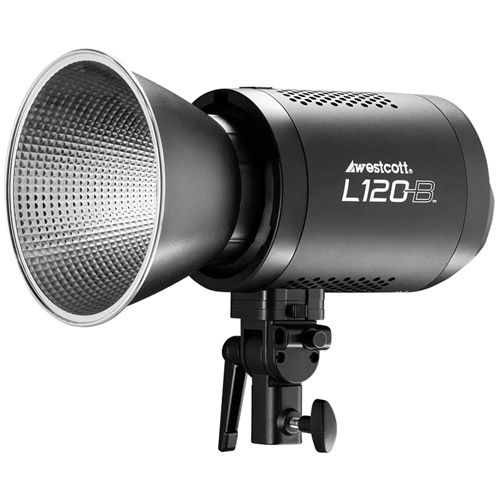 L120-B Bi-Color COB LED (120W)