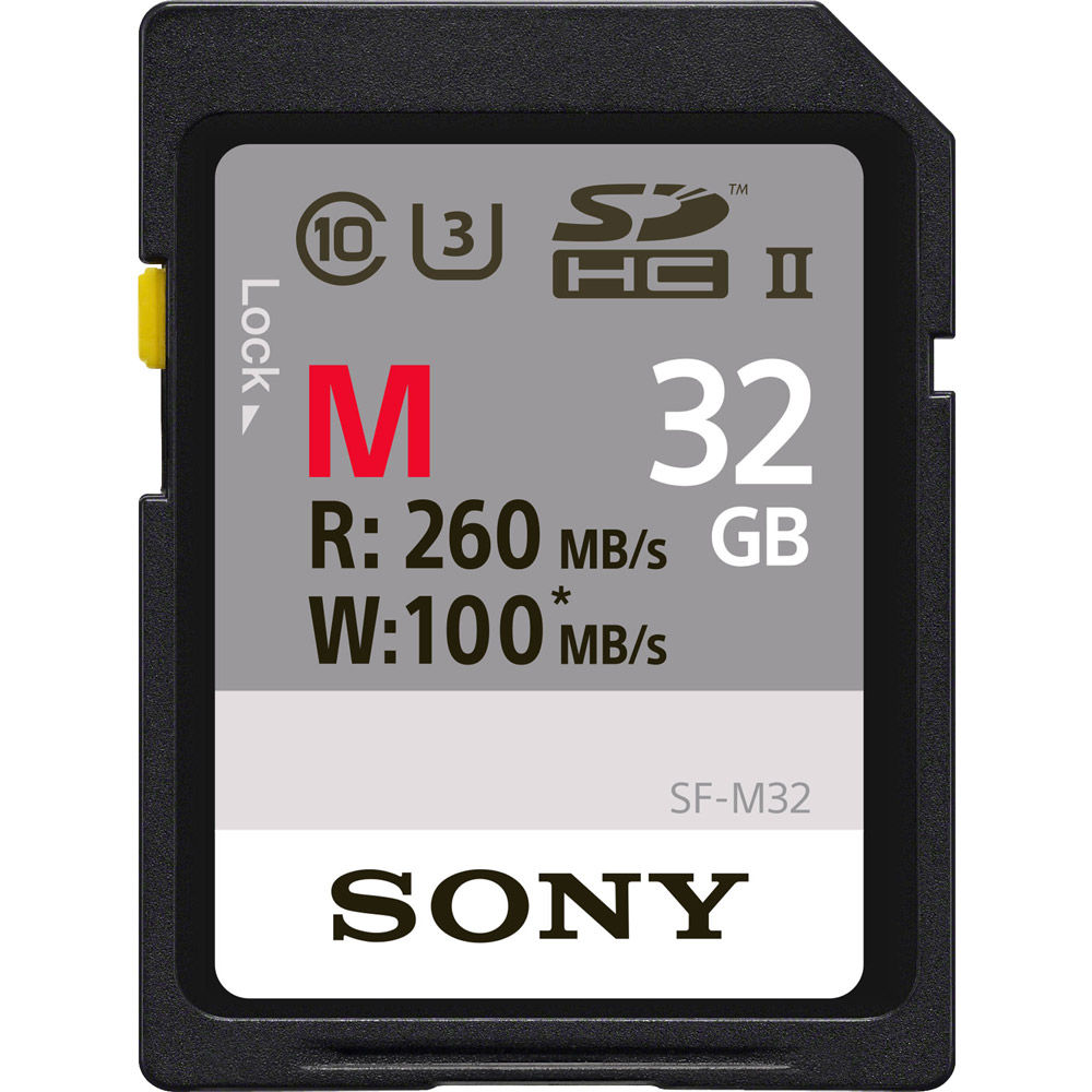 Digital Storage Device - LaCie SanDisk Professional Sandisk Angelbird Sony Atomos Delkin G ...
