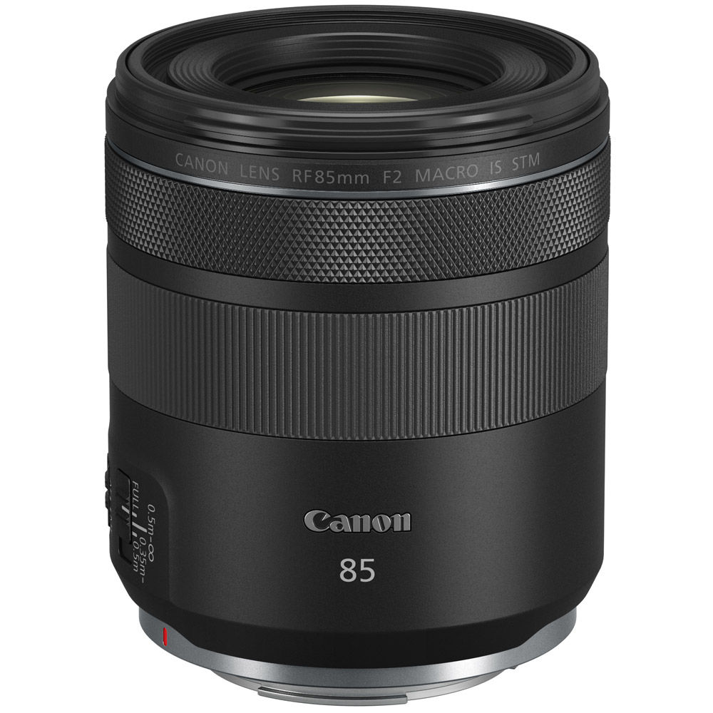 ぽっぽこ  Canon RF 85mm F2 440286.jpg