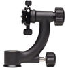 GH1P GH-Series Gimbal Head Arca-Swiss with Pan Arm