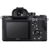 Alpha A7RII Body