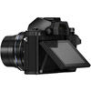 OM-D E-M10 Mark II Black Body