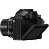 OM-D E-M10 Mark II Black Body