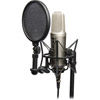 NT2-A Multi Pattern 1" Dual Condenser Microphone, Cardioid and Figure 8, SM6 Shockmount and Cable