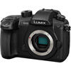 Lumix DC-GH5 Mirrorless Kit w/ Leica 12-60mm f/2.8-4.0 Power OIS Lens