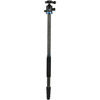 iFoto Series 2 Carbon Fibre Tripod Kit with IB2 Head