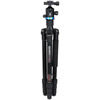 iFoto Series 2 Aluminum Tripod Kit with IB2 Head FIF28AIB2